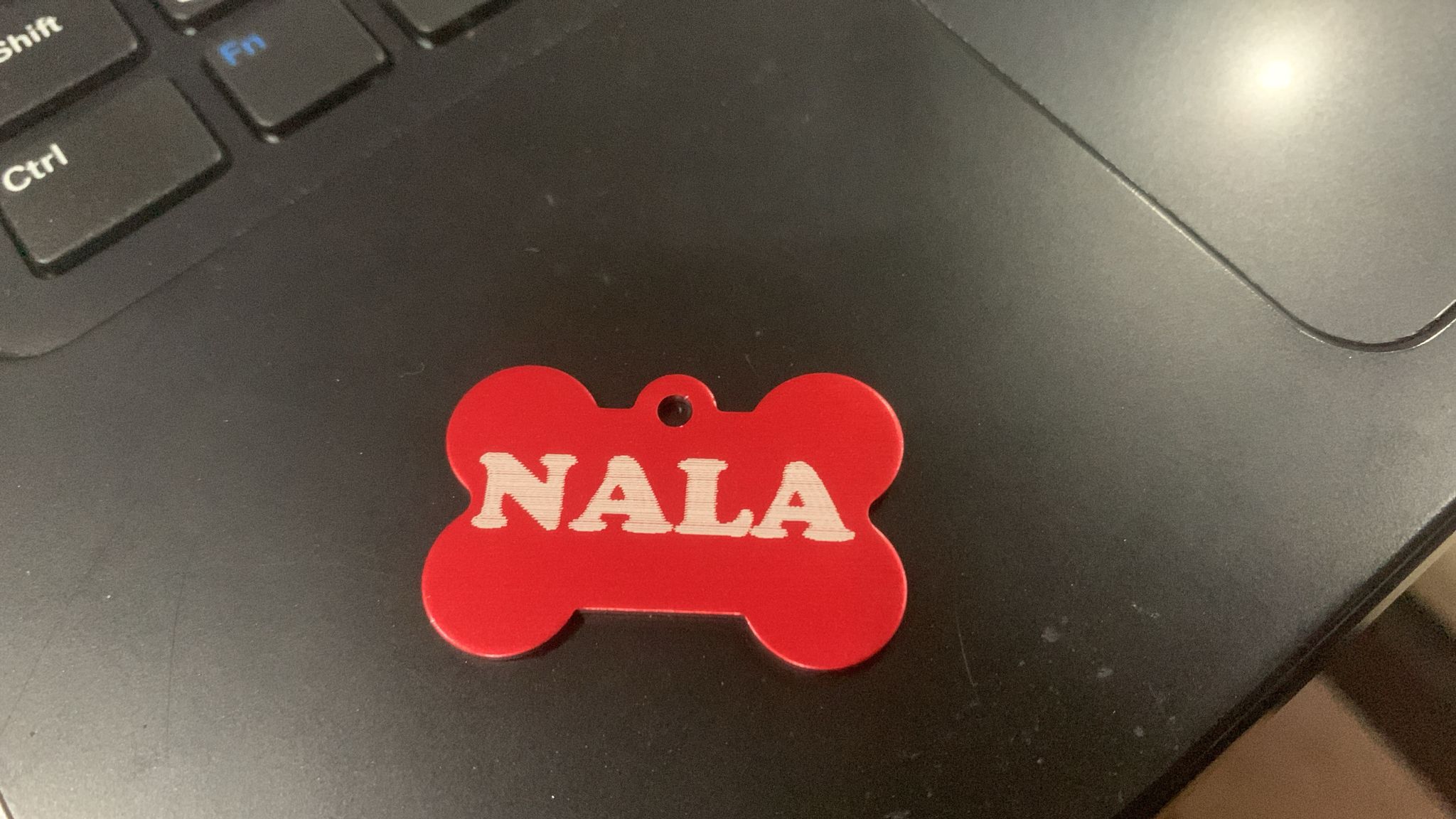 Imagen 3 de 3: Chapa identificativa para tu mascota